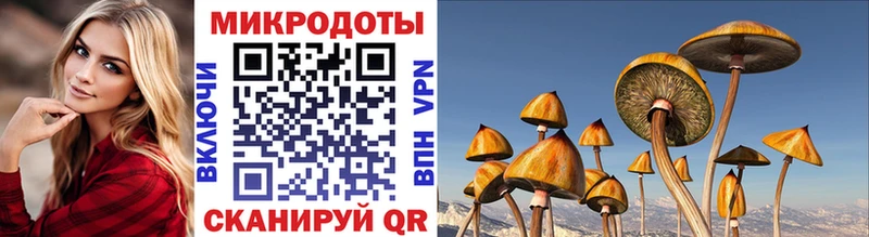 как найти наркотики  Грозный  Галлюциногенные грибы ЛСД 