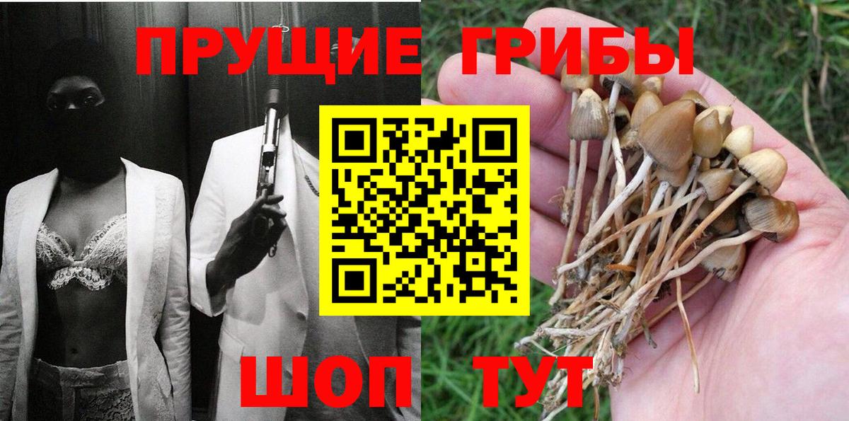 Грозный  Галлюциногенные грибы Psilocybe  Вход с VPN 