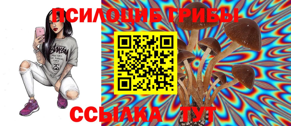 Псилоцибиновые грибы Psilocybine cubensis  как найти наркотики  Грозный 