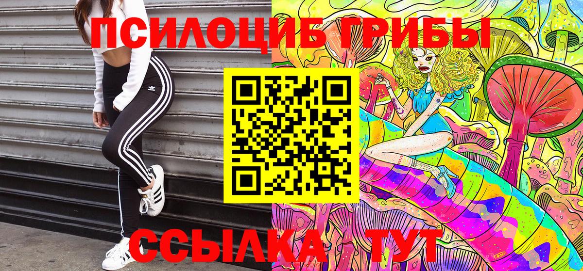 Галлюциногенные грибы ЛСД Грозный