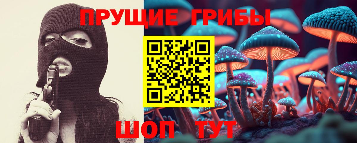 Псилоцибиновые грибы прущие грибы Грозный